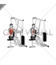 Lever One Arm Seated Row (Seated row machine)
