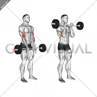 EZ Barbell Close-grip Curl