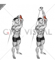 Cable Alternate Triceps Extension