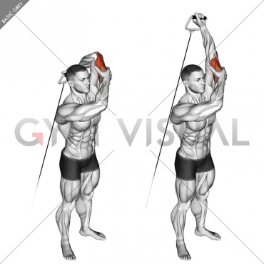 Cable Alternate Triceps Extension