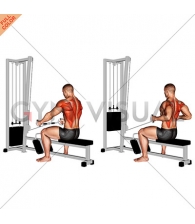 Cable Seated Row (Bent bar)