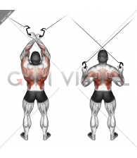 Cable Cross-over Lateral Pulldown