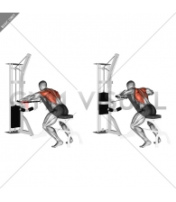 Cable Decline Seated Wide-grip Row