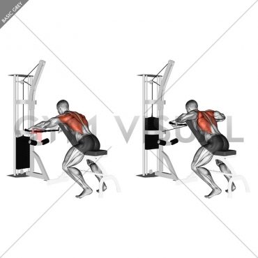 Cable Decline Seated Wide-grip Row