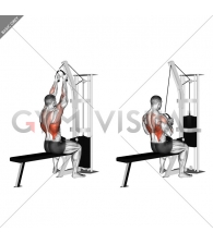 Cable Lateral Pulldown (with rope attachment)