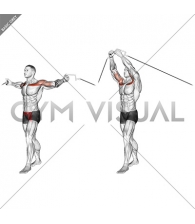 Cable Upper Chest Crossovers