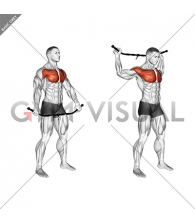 Chest and Front of Shoulder Stretch