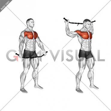 Chest and Front of Shoulder Stretch