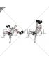 Dumbbell Incline Fly on Exercise Ball