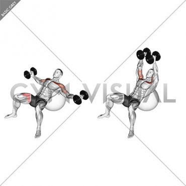 Dumbbell Incline Fly on Exercise Ball