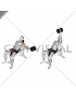 Dumbbell Incline One Arm Fly