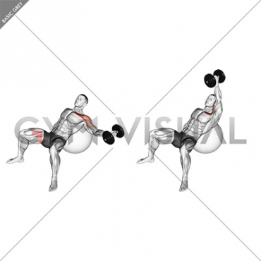 Dumbbell Incline One Arm Fly on Exercise Ball