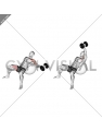 Dumbbell Incline One Arm Fly on Exercise Ball