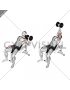 Dumbbell Incline One Arm Press