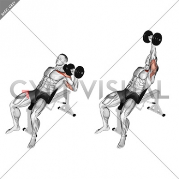 Dumbbell Incline One Arm Press