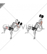 Dumbbell Incline One Arm Press on Exercise Ball