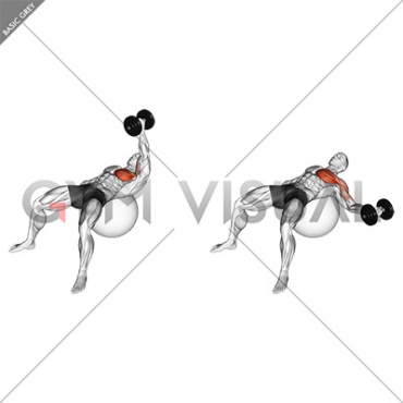 Dumbbell One Arm Fly on Exercise Ball