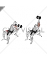 Dumbbell One Arm Incline Chest Press