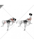 Dumbbell One Arm Press on Exercise Ball