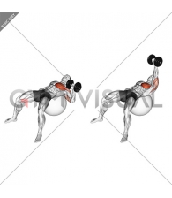 Dumbbell One Arm Press on Exercise Ball