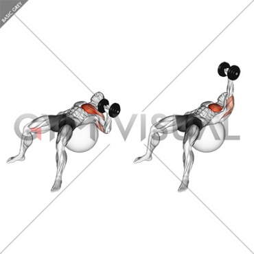 Dumbbell One Arm Press on Exercise Ball