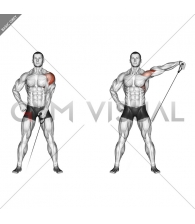 Cable One Arm Lateral Raise