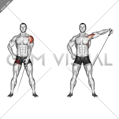 Cable One-arm Lateral Raise Instructions And Video Weight Training