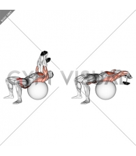 Dumbbell Pullover Hip Extension on Exercise Ball