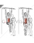 Assisted Hanging Knee Raise With Throw Down