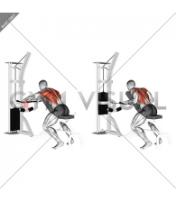 Cable Incline Bench Row