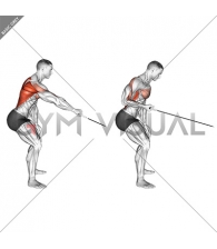 Cable Palm Rotational Row