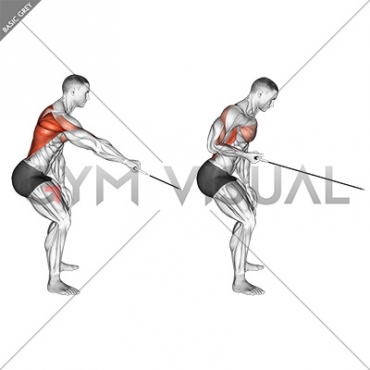 Cable Palm Rotational Row