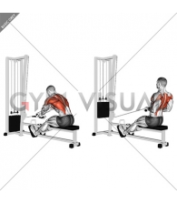 Cable Rope Crossover Seated Row