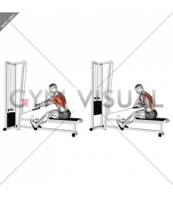 Cable Rope Elevated Seated Row