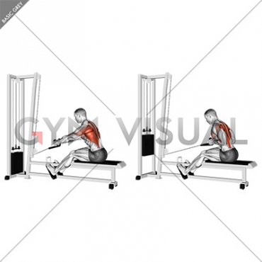 Cable Rope Elevated Seated Row