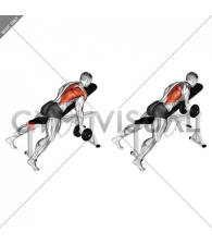 Dumbbell Reverse Grip Incline Bench One Arm Row