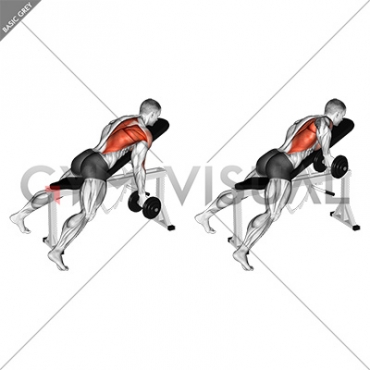 Dumbbell Reverse Grip Incline Bench One Arm Row