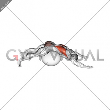 Exercise Ball Lower Back Prone Stretch