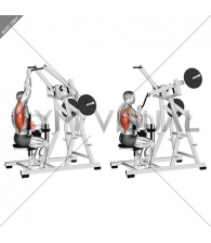 Lever One Arm Lateral Wide Pulldown (plate loaded)