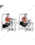 Lever Reverse Grip Vertical Row