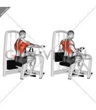 Lever Reverse Grip Vertical Row