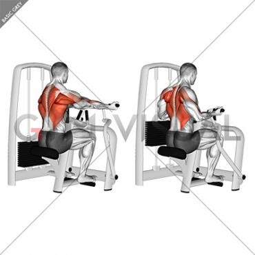 Lever Reverse Grip Vertical Row