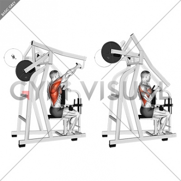 Lever One Arm Lateral High Row