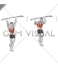 Wide Grip Rear Pull-Up
