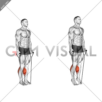 Band Two Legs Calf Raise - (Band under both legs) VERSION 2