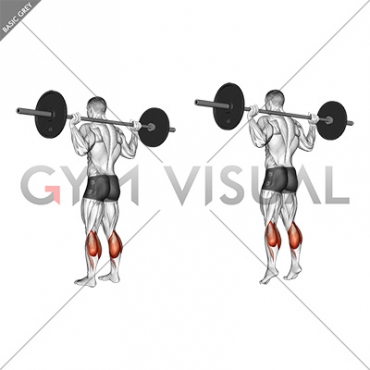 Barbell Floor Calf Raise