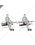 Barbell Seated Calf Raise