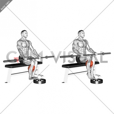 Barbell Seated Calf Raise