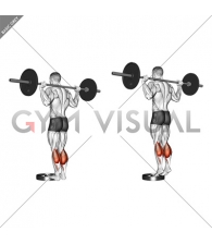 Barbell Standing Calf Raise