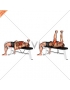 Band Bench Press